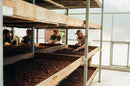 coffee class 102 2026