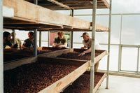 coffee class 102 2026