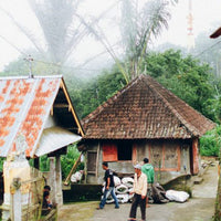 bali kintamani