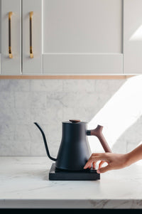 fellow stagg EKG pro electric kettle