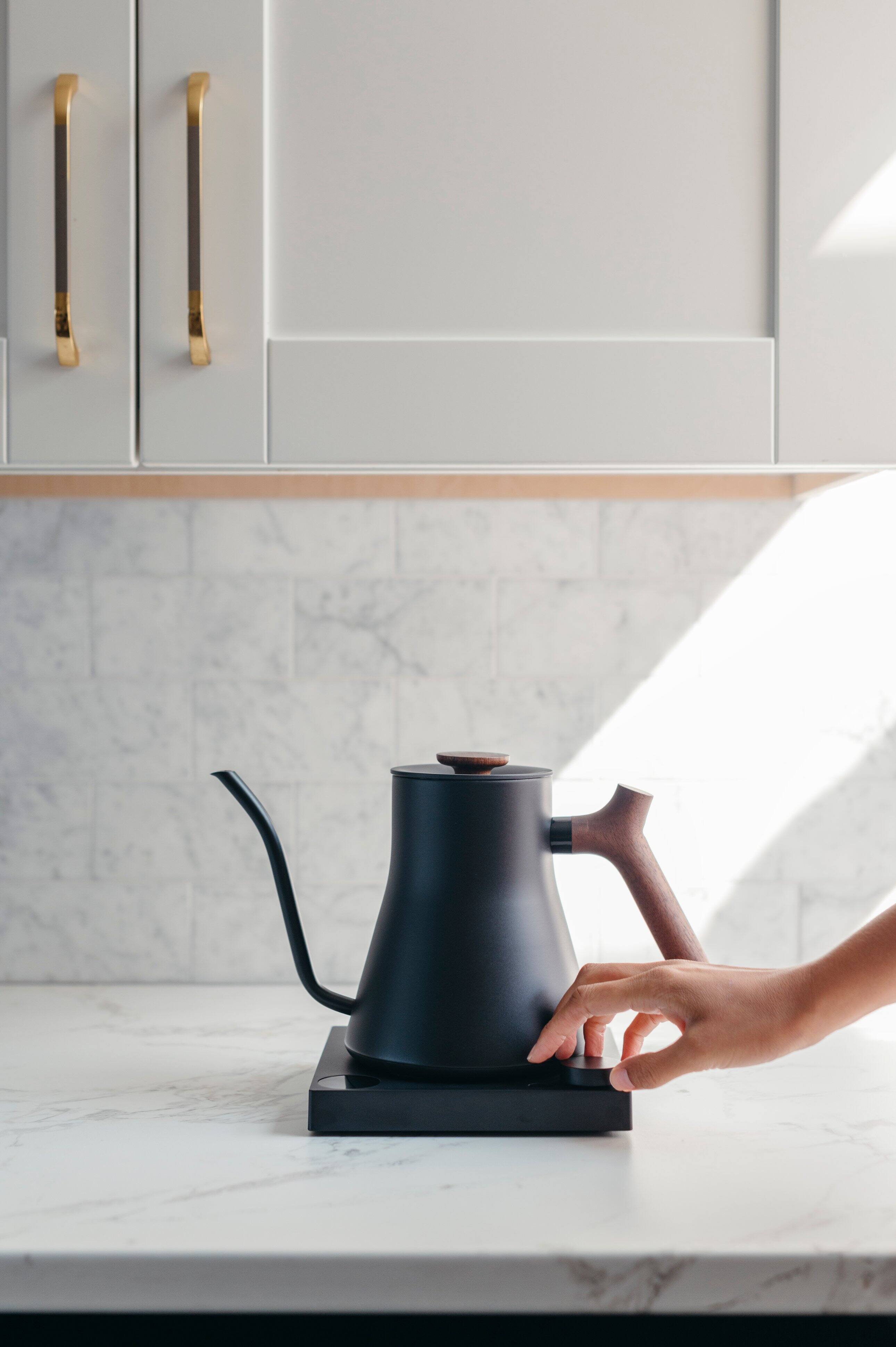 fellow stagg EKG pro electric kettle