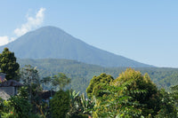 bali kintamani