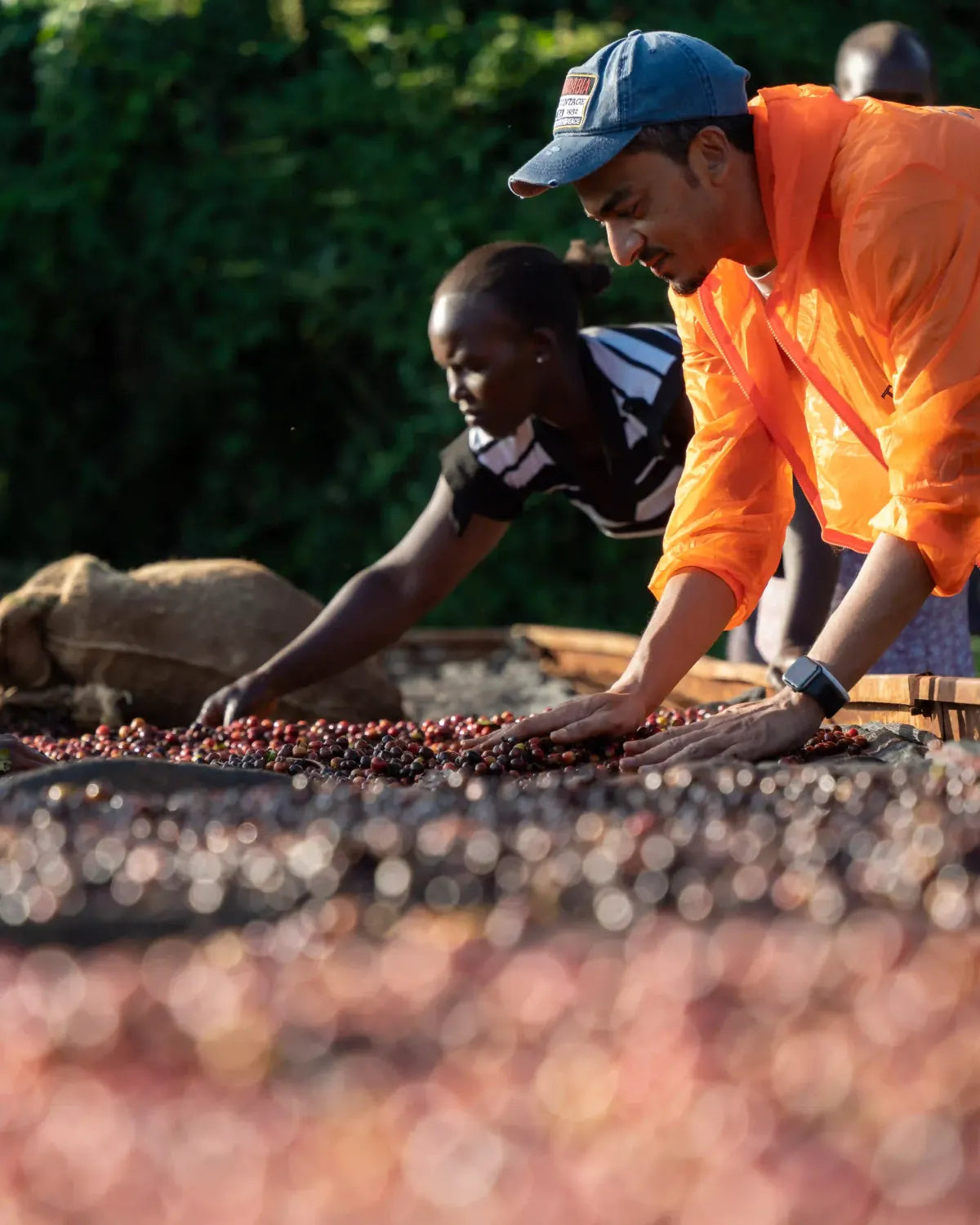 kenya mara natural