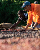 kenya mara natural