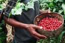 rwanda cyesha