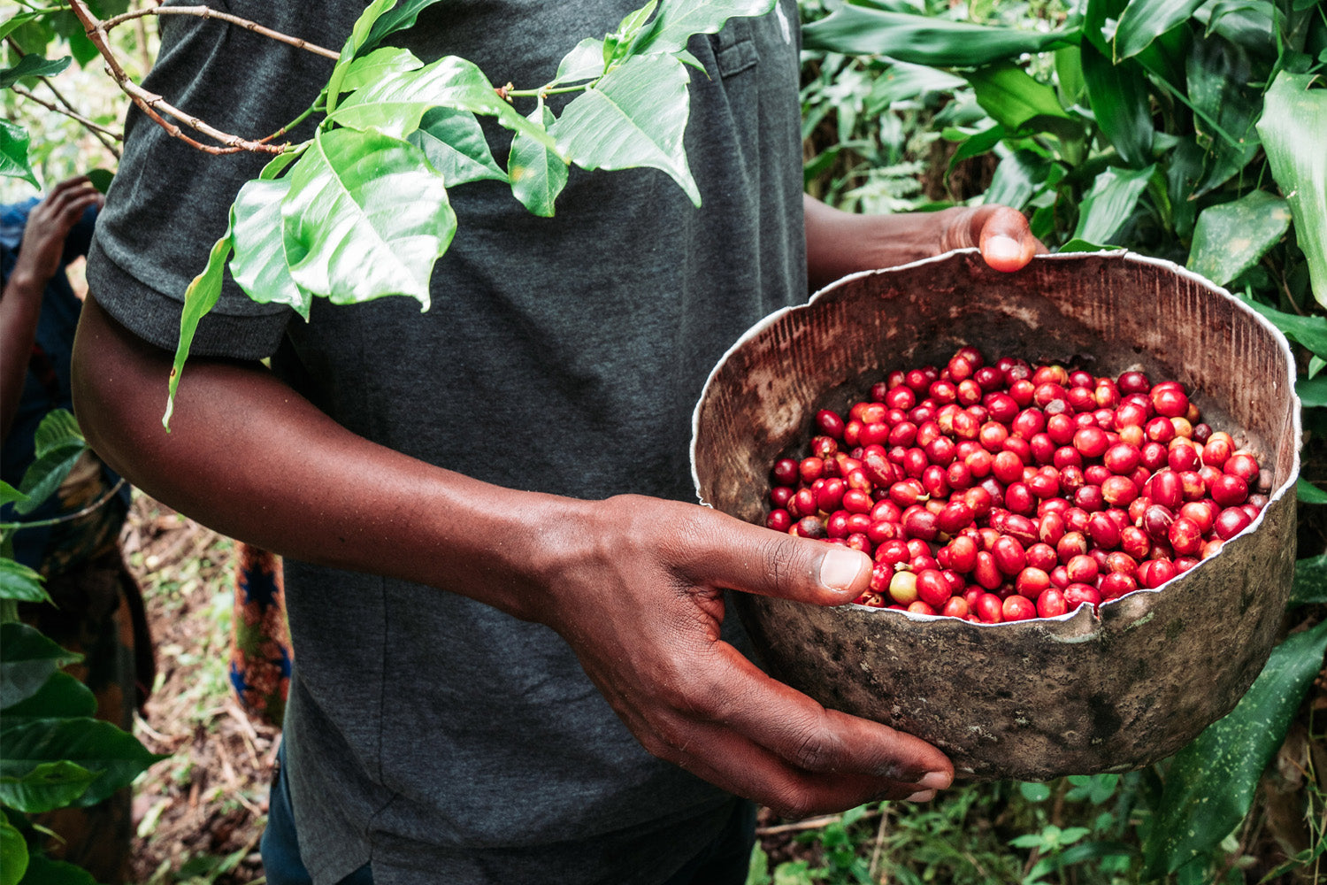 rwanda cyesha